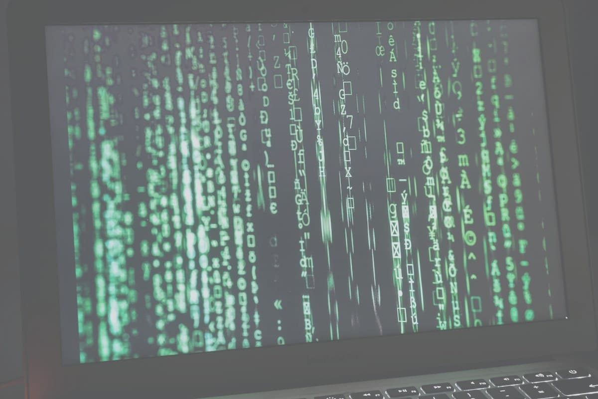 Network Infrastructure — service photograph